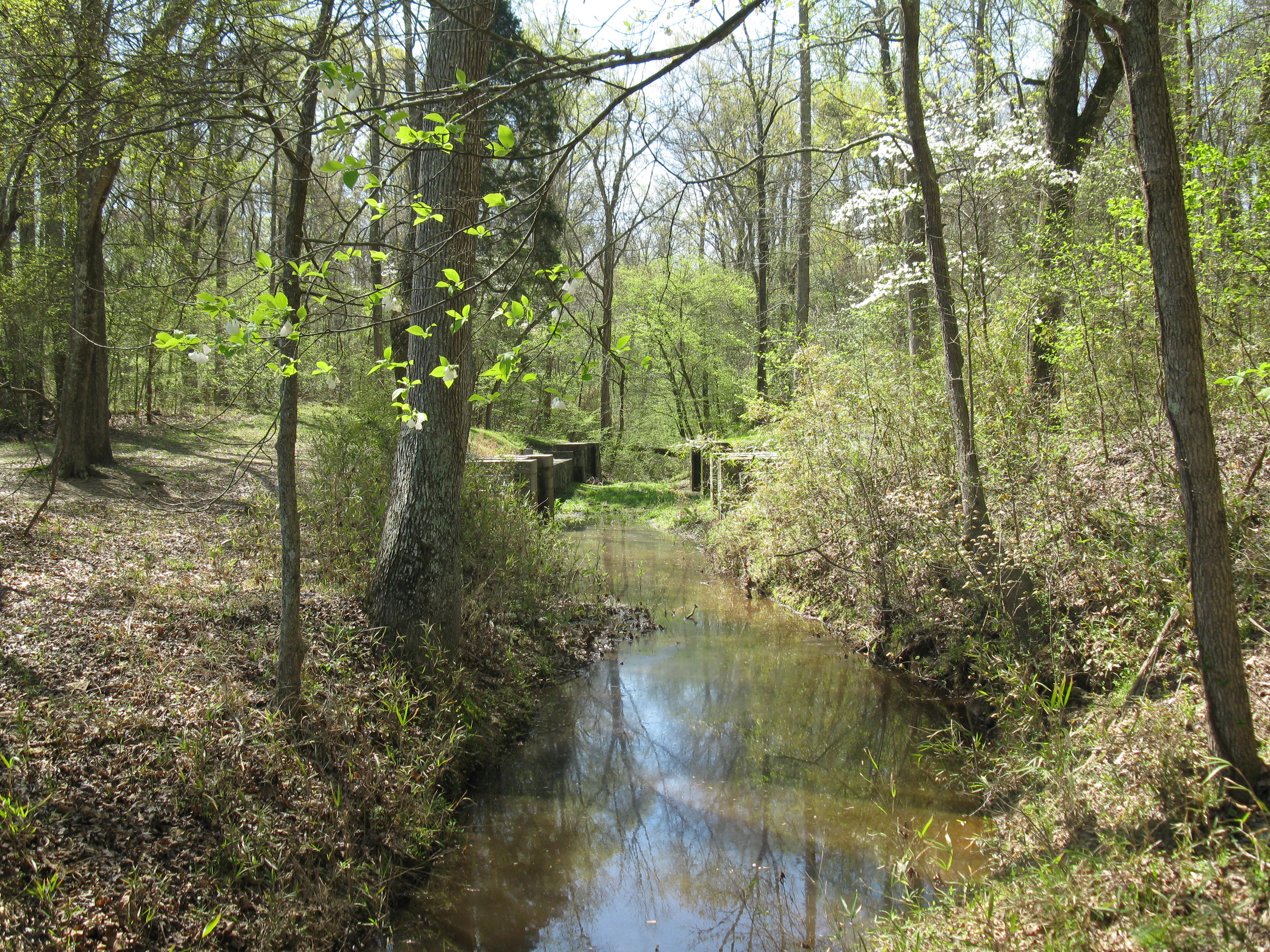Figure 3. The upstream end of Landsford Canal.