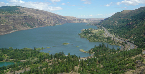 Figure 6. Columbia River Gorge, looking upstream from Rowena Crest, Oregon, June 2004. Photo by the author.