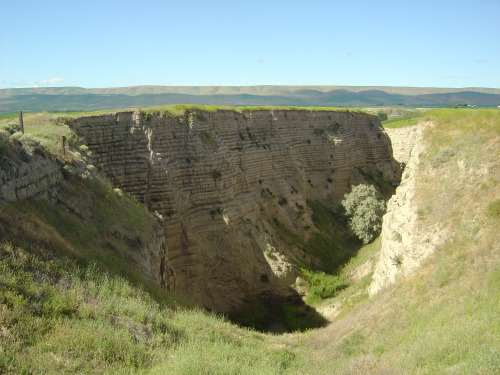 Figure 6. Missoula flood deposits in the Walla Walley valley, Washington, June 2004. Photo by the author.